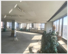  2024Ÿ��42710 �뱸 �޼��� ��ǳ�� �θ� 285      ��,�繫�ǰ��