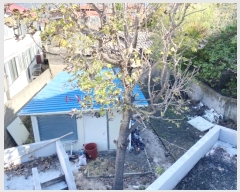  2024Ÿ��42710 �뱸 �޼��� ��ǳ�� �θ� 285      ��,�繫�ǰ��