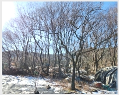  2024Ÿ��45672 �뱸 �޼��� ��â�� ���и� 477      ����(��1)���