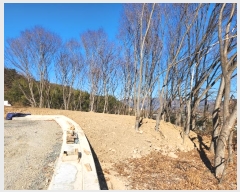  2024Ÿ��45672 �뱸 �޼��� ��â�� ���и� 477      ����(��1)���