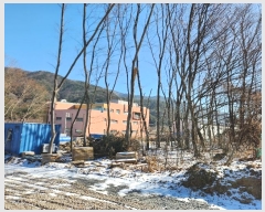  2024Ÿ��45672 �뱸 �޼��� ��â�� ���и� 477      ����(��1)���