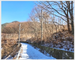  2024Ÿ��45672 �뱸 �޼��� ��â�� ���и� 477      ����(��1)���