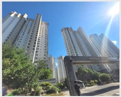  2024Ÿ2453 뱸 ޼  ũϷ 164, 101 191905ȣ (ϳũ)   Ʈ