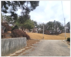  2024Ÿ��4855 ��� ���ֱ� ������ ������ 126-5      ����(�Ӿ�)���