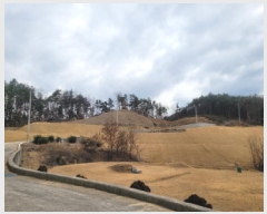  2024Ÿ��4855 ��� ���ֱ� ������ ������ 126-5      ����(�Ӿ�)���