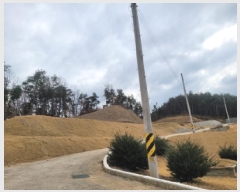  2024Ÿ��4855 ��� ���ֱ� ������ ������ 126-5      ����(�Ӿ�)���