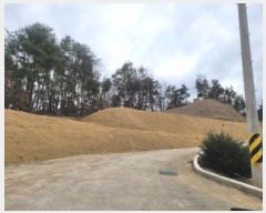  2024Ÿ��4855 ��� ���ֱ� ������ ������ 126-5      ����(�Ӿ�)���