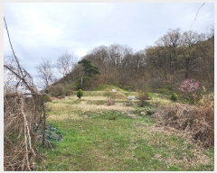  2024Ÿ��32850 ��� ���ֱ� ���׸� ������ 162-1      ����(��)���