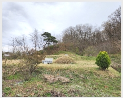  2024Ÿ��32850 ��� ���ֱ� ���׸� ������ 162-1      ����(��)���