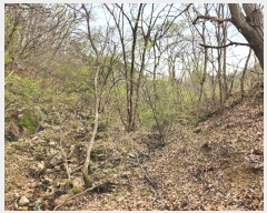  2024Ÿ��32850 ��� ���ֱ� ���׸� ������ 162-1      ����(��)���