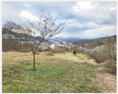  2024Ÿ��32850 ��� ���ֱ� ���׸� ������ 162-1      ����(��)���