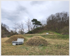  2024Ÿ��32850 ��� ���ֱ� ���׸� ������ 162-1      ����(��)���