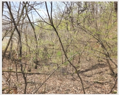  2024Ÿ��32850 ��� ���ֱ� ���׸� ������ 162-1      ����(��)���