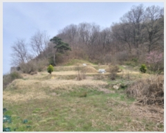  2024Ÿ��32850 ��� ���ֱ� ���׸� ������ 162-1      ����(��)���