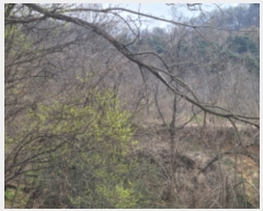  2024Ÿ��32850 ��� ���ֱ� ���׸� ������ 162-1      ����(��)���