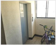  2024Ÿ��38513  ����Ʈ���