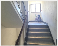  2024Ÿ��38513  ����Ʈ���