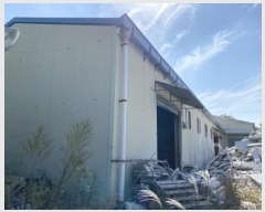  2024Ÿ��41700 ��� ���ֱ� ���׸� ������ 933-2      ������