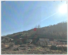  2024Ÿ��41977 ��� ���ֱ� ������ �ڻ긮 ��20      ����(�Ӿ�)���