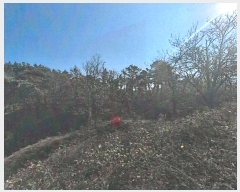  2024Ÿ��41977 ��� ���ֱ� ������ �ڻ긮 ��20      ����(�Ӿ�)���