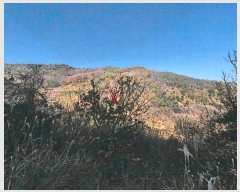  2024Ÿ��41977 ��� ���ֱ� ������ �ڻ긮 ��20      ����(�Ӿ�)���