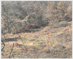  2024Ÿ��41977 ��� ���ֱ� ������ �ڻ긮 ��20      ����(�Ӿ�)���