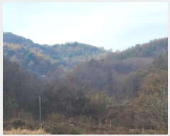  2024Ÿ��41977 ��� ���ֱ� ������ �ڻ긮 ��20      ����(�Ӿ�)���