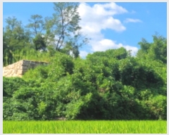  2024Ÿ2095  ֱ ׸ 밢 505-1      (1)