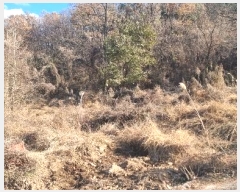  2024Ÿ��5056 �뱸 �޼��� ������ ���� 165      ����(��)���