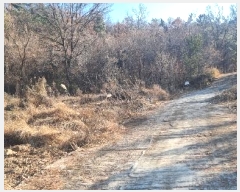  2024Ÿ��5056 �뱸 �޼��� ������ ���� 165      ����(��)���