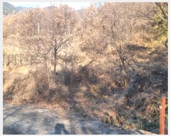  2024Ÿ��5056 �뱸 �޼��� ������ ���� 165      ����(��)���