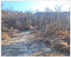  2024Ÿ��5056 �뱸 �޼��� ������ ���� 165      ����(��)���