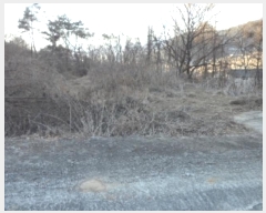  2024Ÿ��5056 �뱸 �޼��� ������ ���� 165      ����(��)���