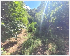  2024Ÿ��35408  �����