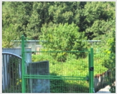  2024Ÿ��35408  �������