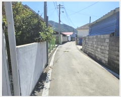  2024Ÿ��40196 ��� ���ɱ� ����� ���� 922      ���ð��