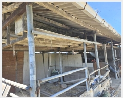  2024Ÿ��40196 ��� ���ɱ� ����� ���� 922      ���ð��