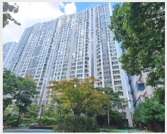  2024Ÿ41526 뱸 ޼ 곲 33, 111 212105ȣ (굿,Եĳ׷)    Ʈ