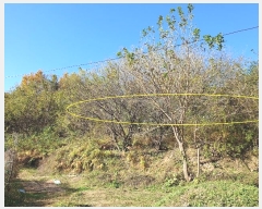  2024Ÿ43256 뱸 ޼ ǳ  474      (1)