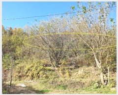  2024Ÿ43256 뱸 ޼ ǳ  474      (1)