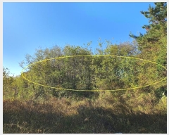  2024Ÿ43256 뱸 ޼ ǳ  474      (1)