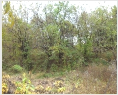  2024Ÿ43256 뱸 ޼ ǳ  474      (1)