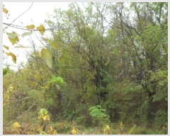  2024Ÿ43256 뱸 ޼ ǳ  474      (1)