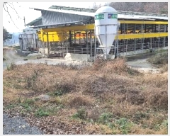  2024Ÿ43911  ɱ  θ 596      ()