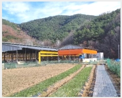  2024Ÿ43911  ɱ  θ 596      ()