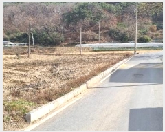  2024Ÿ43911  ɱ  θ 596      ()