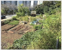  2024Ÿ��5317  �������