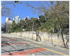  2024Ÿ��5317  �������