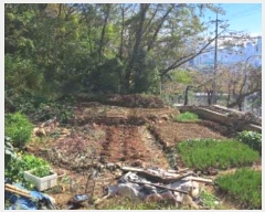  2024Ÿ��5317  �������