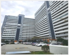  2024Ÿ��5805  �ٸ��ü����